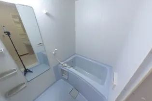 ロイヤルプレイス010【3階】の風呂