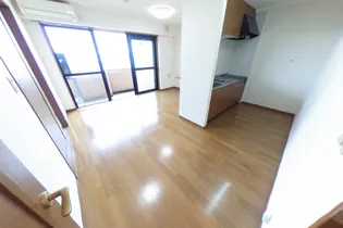 ロイヤルプレイス010【4階】の居間