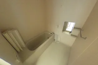 ロイヤルプレイス010【4階】の風呂