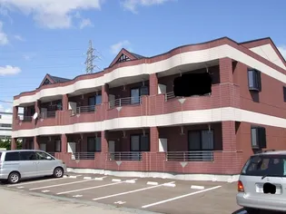 サイネリアーKIの画像