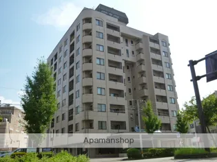 ベル ソフィアの画像