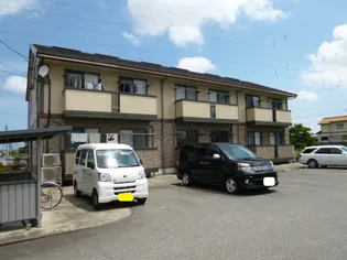 カメリアの画像