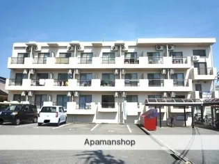 アイビー五福の画像