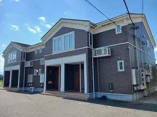 プラシードBの画像