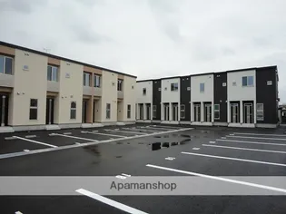 セシボン17の画像