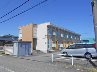 ウッドペッカーの画像