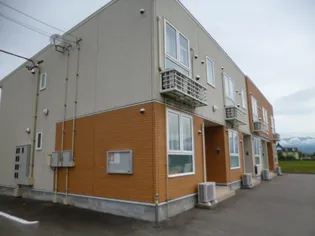 サンフラワー ガーデンの画像