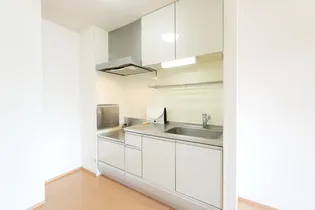 メゾン ドレッセ【1階】のキッチン