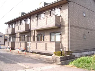 ヴァン プレミールの画像