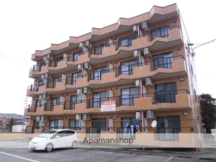 富山県富山市八尾町福島6丁目【マンション】の外観