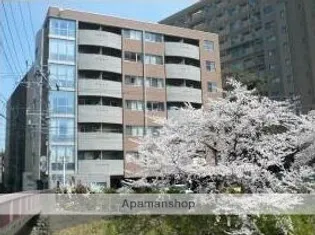 アルジェントルーチェの画像