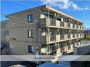 アンジュMの画像