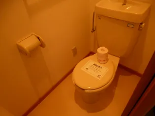 メゾンMS・B【1階】のその他画像