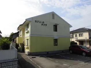 セジュールサクラの画像