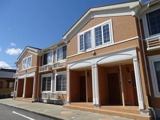 カンパニュラの画像