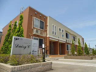 デイジーCの画像