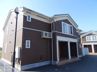 プラシードCの画像