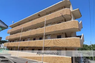 シャテロの画像