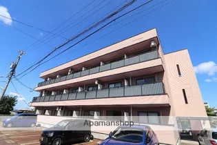 モーニングハイツ21【1階】の外観