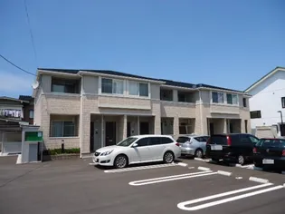 サザンライトの画像