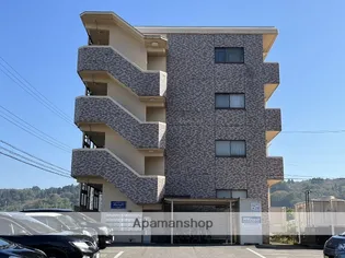 アリエッタ杉谷の画像