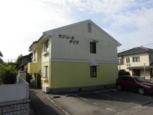 セジュールサクラの画像