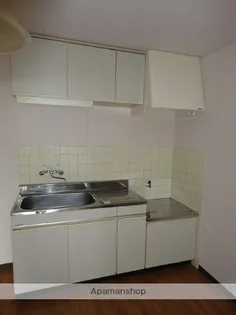 グリーンハイツ【205号室】のキッチン