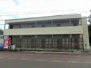 ピュアハイツ桜谷【206号室】の外観