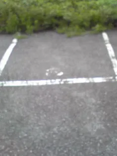 みつわ荘【202号室】のその他画像