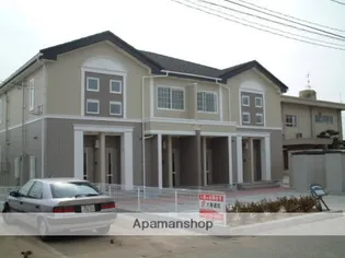 ファレノプシスの画像