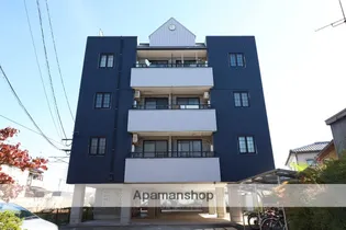 グレーシズの画像