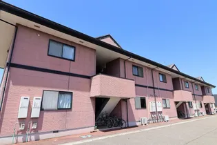 セトルエミの画像