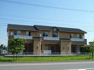 チューリップアベニューⅤの画像