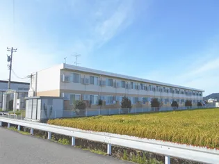 レオパレスロベリア【210号室】の外観