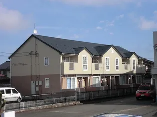 パティオ ミニヨンの画像