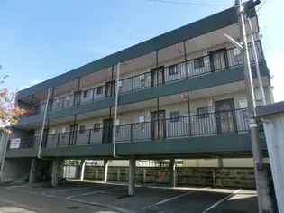 デイジーの画像