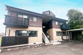 エクセルコートの画像