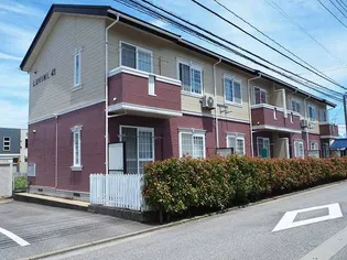 ルビニ41の画像