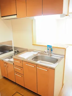 サンテェラス【1階】のキッチン