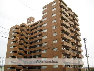 信開ベルシー黒瀬の画像