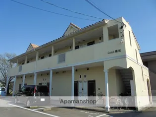 CELEB鵜坂の画像