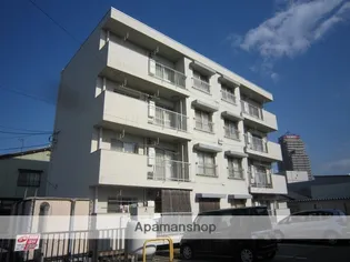 奥井ハイツ【2階】の外観