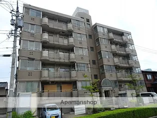 LIVE TOMORROWの画像