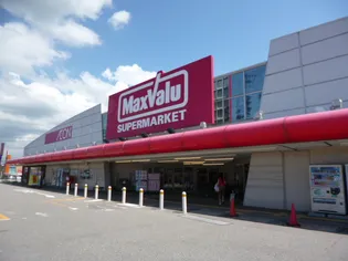 メゾンMS・B【2階】の周辺