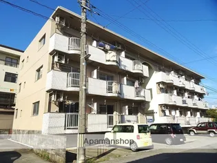 シティハイツ安野屋【1階】の外観