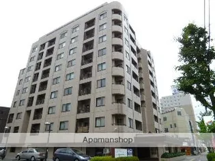 ベル ソフィアの画像