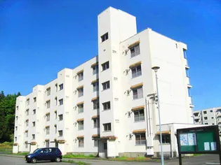 ビレッジハウス八尾3号棟【0101号室】の外観