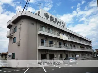 中央ハイツ【1階】の外観