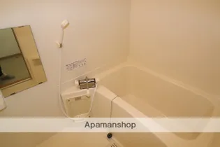 セプト・クルール【302号室】の風呂