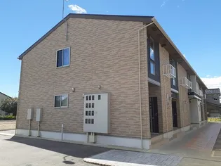 ルピナスの画像